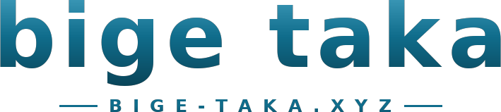 bige taka logo